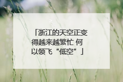 浙江的天空正变得越来越繁忙 何以领飞“低空”