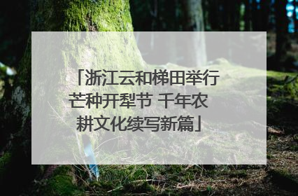 浙江云和梯田举行芒种开犁节 千年农耕文化续写新篇