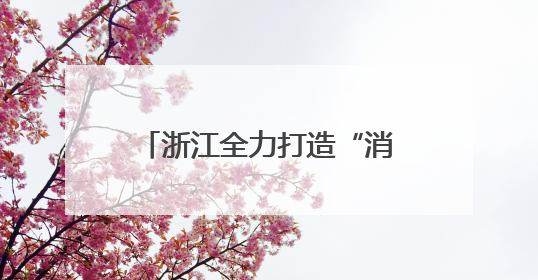 浙江全力打造“消费环境最优省”