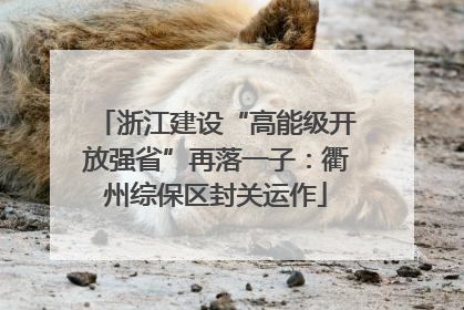 浙江建设“高能级开放强省”再落一子：衢州综保区封关运作