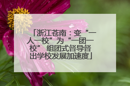 浙江苍南：变“一人一校”为“一团一校” 组团式督导督出学校发展加速度