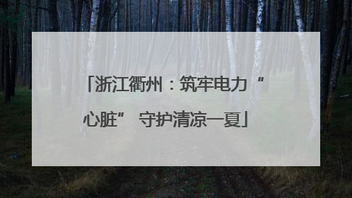 浙江衢州：筑牢电力“心脏” 守护清凉一夏