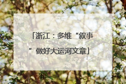 浙江：多维“叙事”做好大运河文章