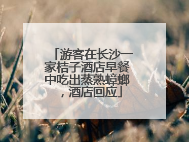 游客在长沙一家桔子酒店早餐中吃出蒸熟蟑螂，酒店回应