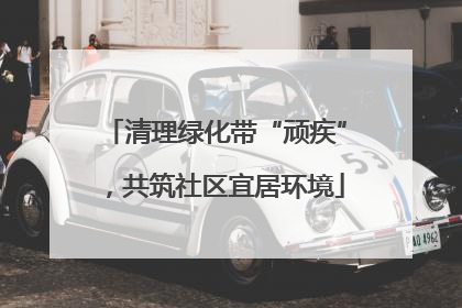 清理绿化带“顽疾”，共筑社区宜居环境