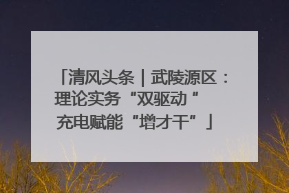 清风头条｜武陵源区：理论实务“双驱动 ” 充电赋能“增才干”