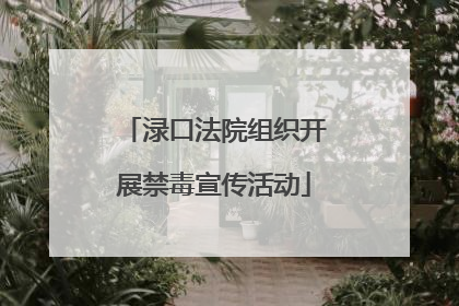 渌口法院组织开展禁毒宣传活动