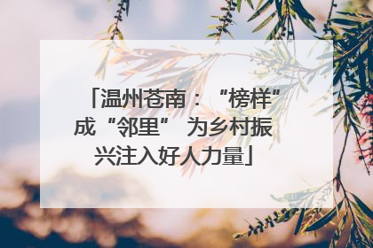 温州苍南：“榜样”成“邻里” 为乡村振兴注入好人力量