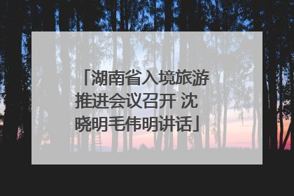 湖南省入境旅游推进会议召开 沈晓明毛伟明讲话