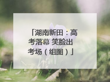 湖南新田：高考落幕 笑脸出考场（组图）