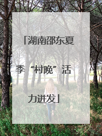 湖南邵东夏季“村晚”活力迸发