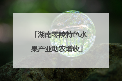 湖南零陵特色水果产业助农增收