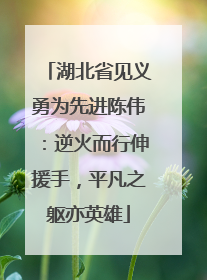 湖北省见义勇为先进陈伟：逆火而行伸援手，平凡之躯亦英雄