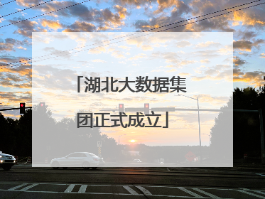 湖北大数据集团正式成立