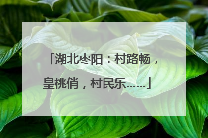 湖北枣阳：村路畅，皇桃俏，村民乐……