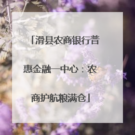 滑县农商银行普惠金融一中心：农商护航粮满仓
