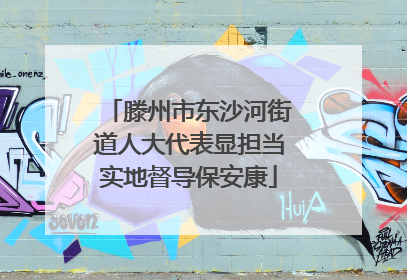 滕州市东沙河街道人大代表显担当实地督导保安康