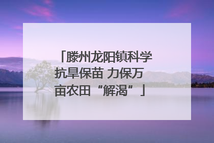 滕州龙阳镇科学抗旱保苗 力保万亩农田“解渴”