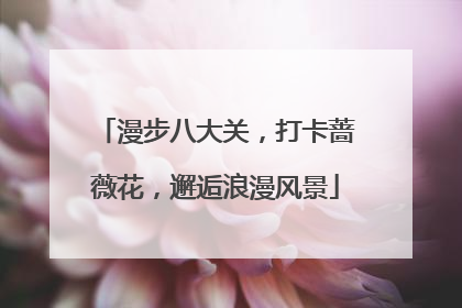 漫步八大关，打卡蔷薇花，邂逅浪漫风景