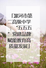 漯河市第二高级中学：“五五五”党建品牌赋能教育高质量发展