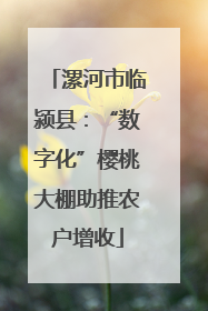 漯河市临颍县：“数字化”樱桃大棚助推农户增收