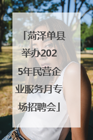 菏泽单县举办2025年民营企业服务月专场招聘会