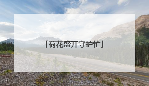 荷花盛开守护忙