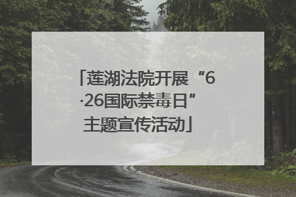 莲湖法院开展“6·26国际禁毒日”主题宣传活动