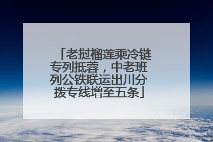 老挝榴莲乘冷链专列抵蓉，中老班列公铁联运出川分拨专线增至五条