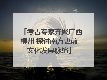 考古专家齐聚广西柳州 探讨南方史前文化发展脉络