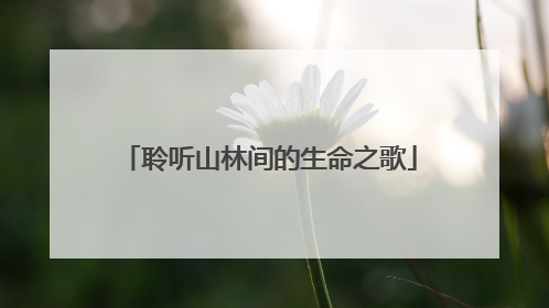聆听山林间的生命之歌