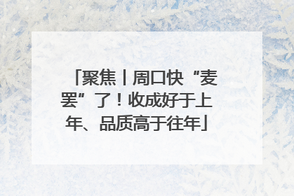 聚焦丨周口快“麦罢”了！收成好于上年、品质高于往年