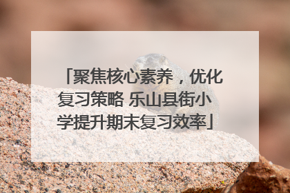 聚焦核心素养，优化复习策略 乐山县街小学提升期末复习效率