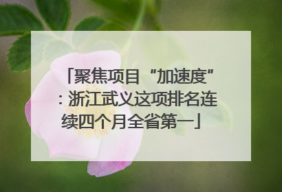 聚焦项目“加速度”：浙江武义这项排名连续四个月全省第一
