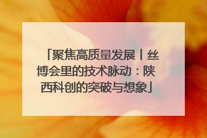 聚焦高质量发展丨丝博会里的技术脉动：陕西科创的突破与想象