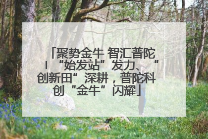 聚势金牛 智汇普陀〡“始发站”发力、“创新田”深耕，普陀科创“金牛”闪耀