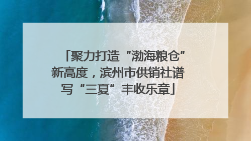 聚力打造“渤海粮仓”新高度，滨州市供销社谱写“三夏”丰收乐章