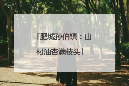 肥城孙伯镇：山村油杏满枝头
