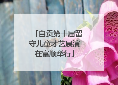 自贡第十届留守儿童才艺展演在富顺举行