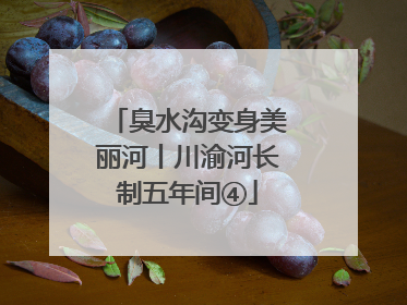 臭水沟变身美丽河丨川渝河长制五年间④