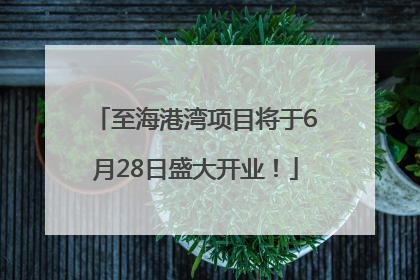 至海港湾项目将于6月28日盛大开业！