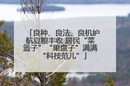 良种、良法、良机护航夏粮丰收 居民“菜篮子”“果盘子”满满“科技范儿”