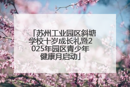 苏州工业园区斜塘学校十岁成长礼暨2025年园区青少年健康月启动