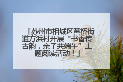 苏州市相城区黄桥街道方浜村开展“书香传古韵，亲子共端午”主题阅读活动！