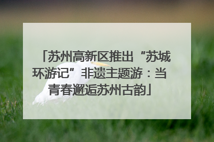 苏州高新区推出“苏城环游记”非遗主题游：当青春邂逅苏州古韵