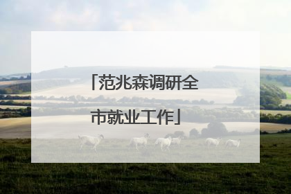 范兆森调研全市就业工作