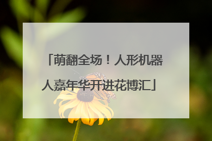 萌翻全场！人形机器人嘉年华开进花博汇