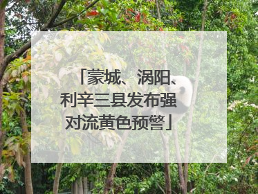 蒙城、涡阳、利辛三县发布强对流黄色预警