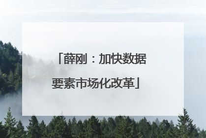 薛刚：加快数据要素市场化改革