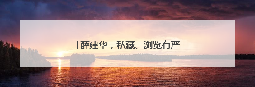 薛建华，私藏、浏览有严重政治问题的网络文章
